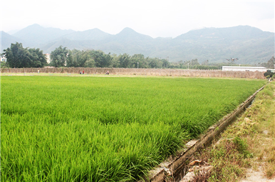 龍門生產(chǎn)基地