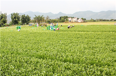 龍門生產基地